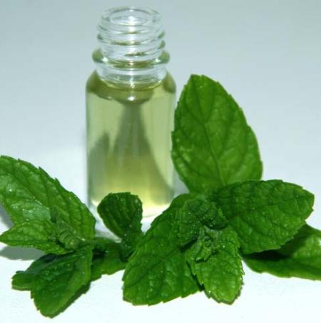 L-CARVONS 55% & 60%  Peppermint Essential Oils